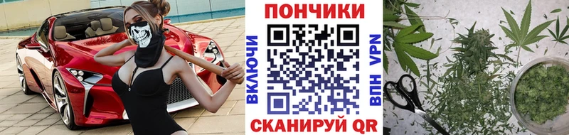 Как найти наркотики Грайворон ГАШ  Конопля  МЕФ 