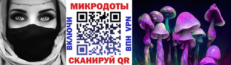 Галлюциногенные грибы мицелий  цены   Грайворон 